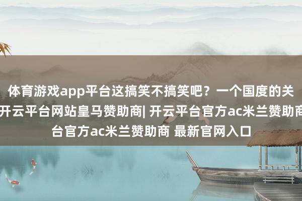体育游戏app平台这搞笑不搞笑吧？一个国度的关税岂能是儿戏-开云平台网站皇马赞助商| 开云平台官方ac米兰赞助商 最新官网入口