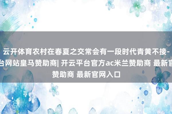 云开体育农村在春夏之交常会有一段时代青黄不接-开云平台网站皇马赞助商| 开云平台官方ac米兰赞助商 最新官网入口
