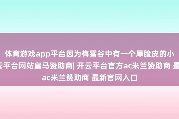 体育游戏app平台因为梅雪谷中有一个厚脸皮的小王八蛋-开云平台网站皇马赞助商| 开云平台官方ac米兰赞助商 最新官网入口